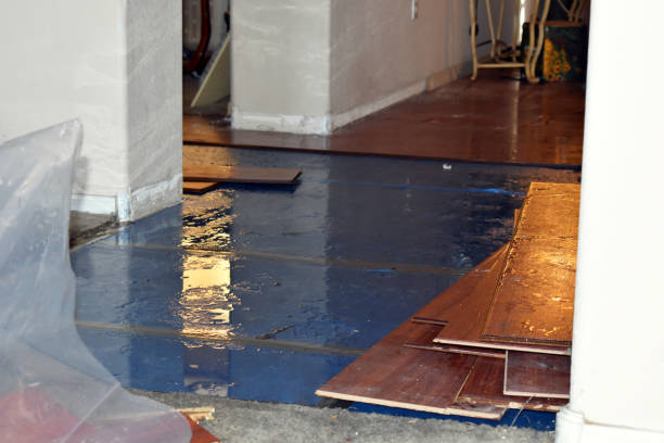 Professional Basement Flooding technician working in Ashley, MI
